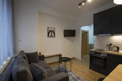 a living room with a couch and a kitchen at Belgrade apartment Bulevar in Belgrade