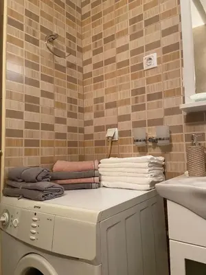 a bathroom with a washing machine and a sink at Bella apartment in Belgrade