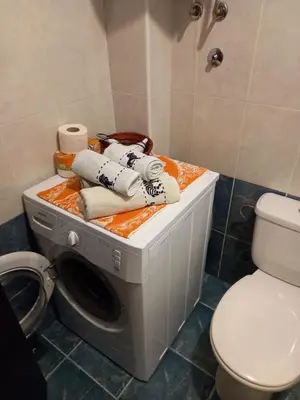 a washing machine in a bathroom next to a toilet at Sofia Apartment in Surčin