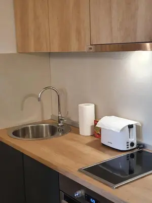 a kitchen counter with a sink and a toaster at Downtown in Belgrade