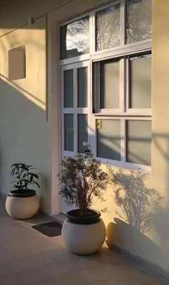 two potted plants sitting in front of a door at Central Ant Apartment in Belgrade