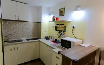 a small kitchen with a counter and a microwave at Central Ant Apartment in Belgrade