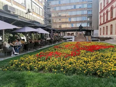 a field of flowers in the middle of a city at Central location for you in Belgrade