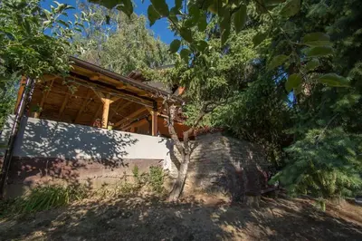 a house with a tree in front of it at Happy house in Velika Remeta