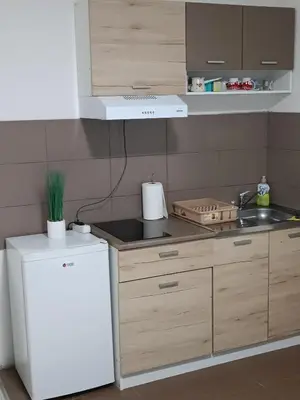 a kitchen with a white refrigerator and a sink at Sleep&Go in Belgrade