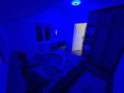 a blue room with a bed and a mirror at Apartmani Mladenović in Kijevo