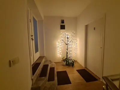 a hallway with a christmas tree with lights on it at Apartmani Mladenović in Kijevo