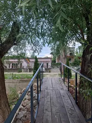 a wooden walkway under a tree with a fence at Bora kuće na reci in Belgrade