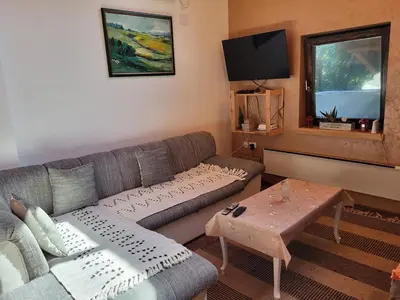 a living room with a couch and a tv at Vila Mila Fruška Gora in Velika Remeta