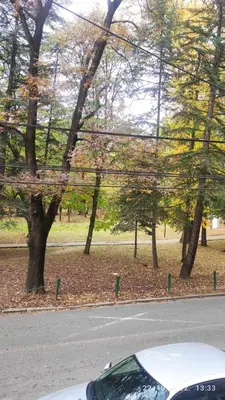 a car parked on the side of a road with trees at Centar_park in Arandjelovac