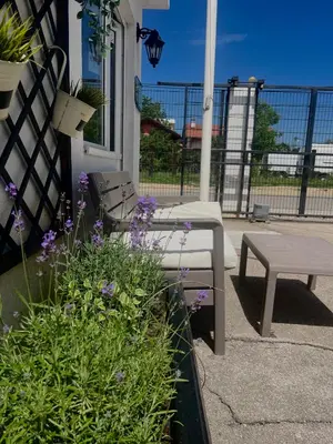 a bench sitting next to a bush with purple flowers at MiniCity Inn in Belgrade