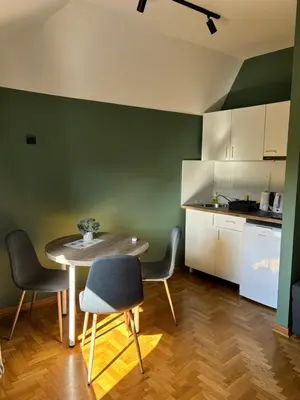 Gallery image of Aleksei Apartmani in Belgrade