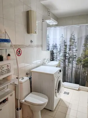 a bathroom with a toilet and a sink and a washing machine at Cozy green house (free parking spot) in Belgrade