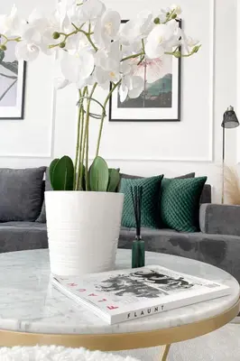 a living room with a coffee table with a vase of flowers at Lolita Lux - Belgrade Waterfront in Belgrade