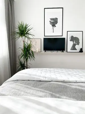 a white bedroom with a bed and three plants at Lolita Lux - Belgrade Waterfront in Belgrade