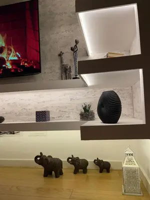 a shelf with a tv and a fireplace and figurines at Garden House Lux in Belgrade