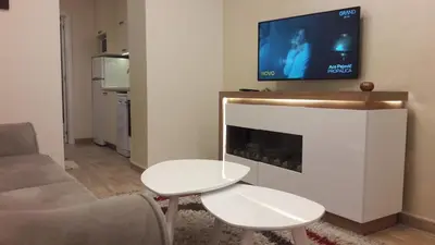 a living room with a couch and a tv above a fireplace at Apartment Dedinje Hill 2 in Belgrade