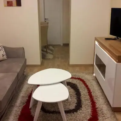 Apartment Dedinje Hill 2