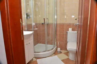 a bathroom with a shower and a toilet and a sink at Apartment and Rooms In Club in Inđija