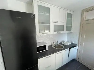 a kitchen with a black refrigerator and a sink at New Belgrade apartment in Belgrade