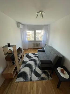 a living room with a couch and a rug at New Belgrade apartment in Belgrade