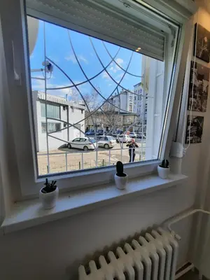 a window with potted plants sitting on a window sill at Apartment Piccolo Ada in Belgrade