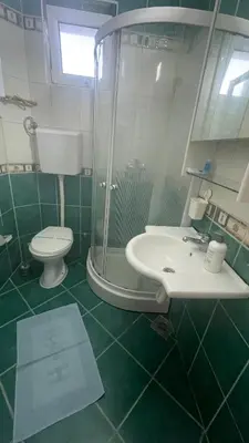 a bathroom with a shower and a sink and a toilet at Charlie&Blueberries 1 in Belgrade