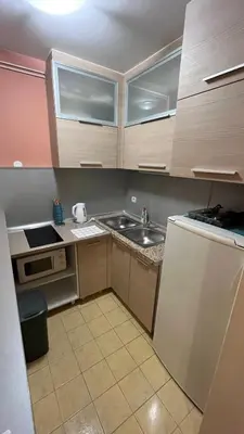 a small kitchen with a sink and a refrigerator at Charlie&Blueberries 1 in Belgrade