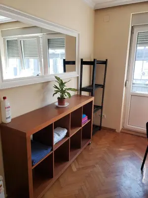a desk with a plant on it in a room at Private cozy room 2 with shared kitchen in appartment in Belgrade