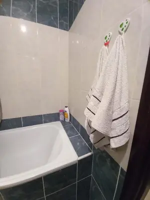 a bathroom with a tub and towels hanging on a wall at Sara Apartment in Surčin