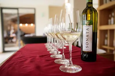 a row of wine glasses sitting on a red table at Villa Luxury Rooms - Wine Resort in Smederevo