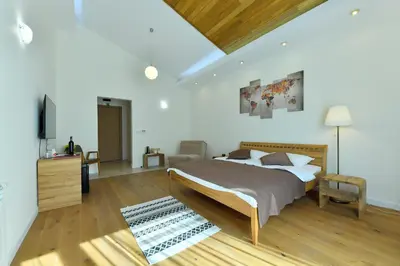 a bedroom with a bed and a television in it at Villa Luxury Rooms - Wine Resort in Smederevo