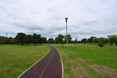 a winding path in a park with a street light at Hidden Gem in Belgrade