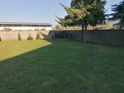 a yard with a wall and a tree and a building at Pelegrino in Stara Pazova