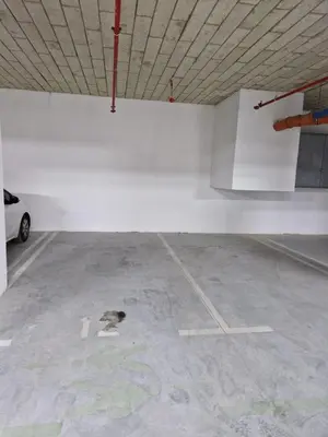 a bird sitting on the floor of a parking lot at BulevarD Apartment in Belgrade