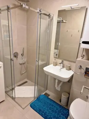 a bathroom with a shower and a sink at BulevarD Apartment in Belgrade