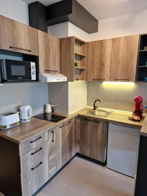 a kitchen with wooden cabinets and a sink and a microwave at BulevarD Apartment in Belgrade