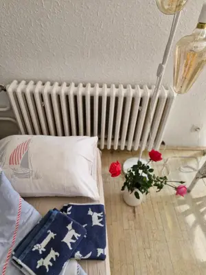 a room with a radiator and two red roses at Deki & Kolet in Belgrade