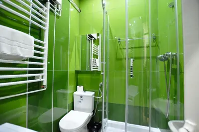 a green bathroom with a toilet and a glass shower at Heart of Belgrade Skadarlija Apartment in Belgrade