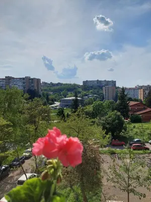 Gallery image of Retro Cosy Apartment in Mirijevo