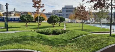 a park with a grassy area with trees and buildings at Premium NB Apartment - Belgrade Waterfront in Belgrade