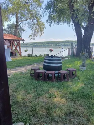 a barrel sitting in the grass next to a tree at Vila Marina in Kovin