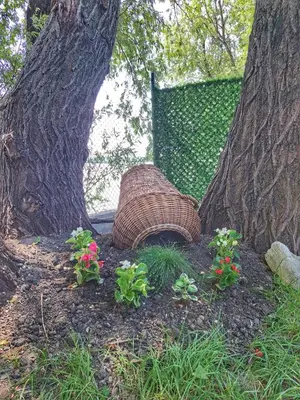 a wicker basket sitting next to a tree with flowers at Vila Marina in Kovin