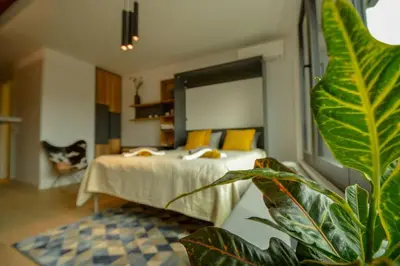 a bedroom with a bed and a potted plant at STUDIO K district (central BG+private parking) in Belgrade