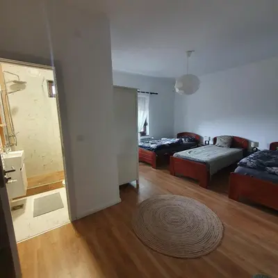 a living room with a bed and a couch at Che Private Rooms Banovci in Novi Banovci