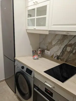 a kitchen with a refrigerator and a dishwasher at VANSVEL Boutique Apartment 8 in Belgrade