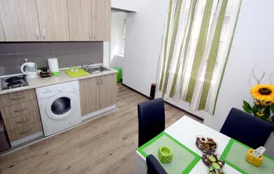 a kitchen with a washing machine and a table with chairs at Apartment Savska in Belgrade