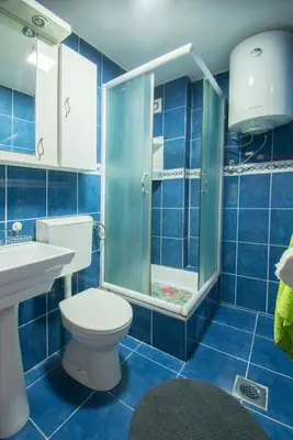 a blue bathroom with a toilet and a shower at Sasa's House in Belgrade