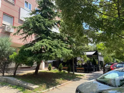 a tree on the side of a street next to a building at Hill Apartment in Belgrade
