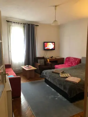 a living room with a bed and a couch at MAXIMUS VRACAR in Belgrade